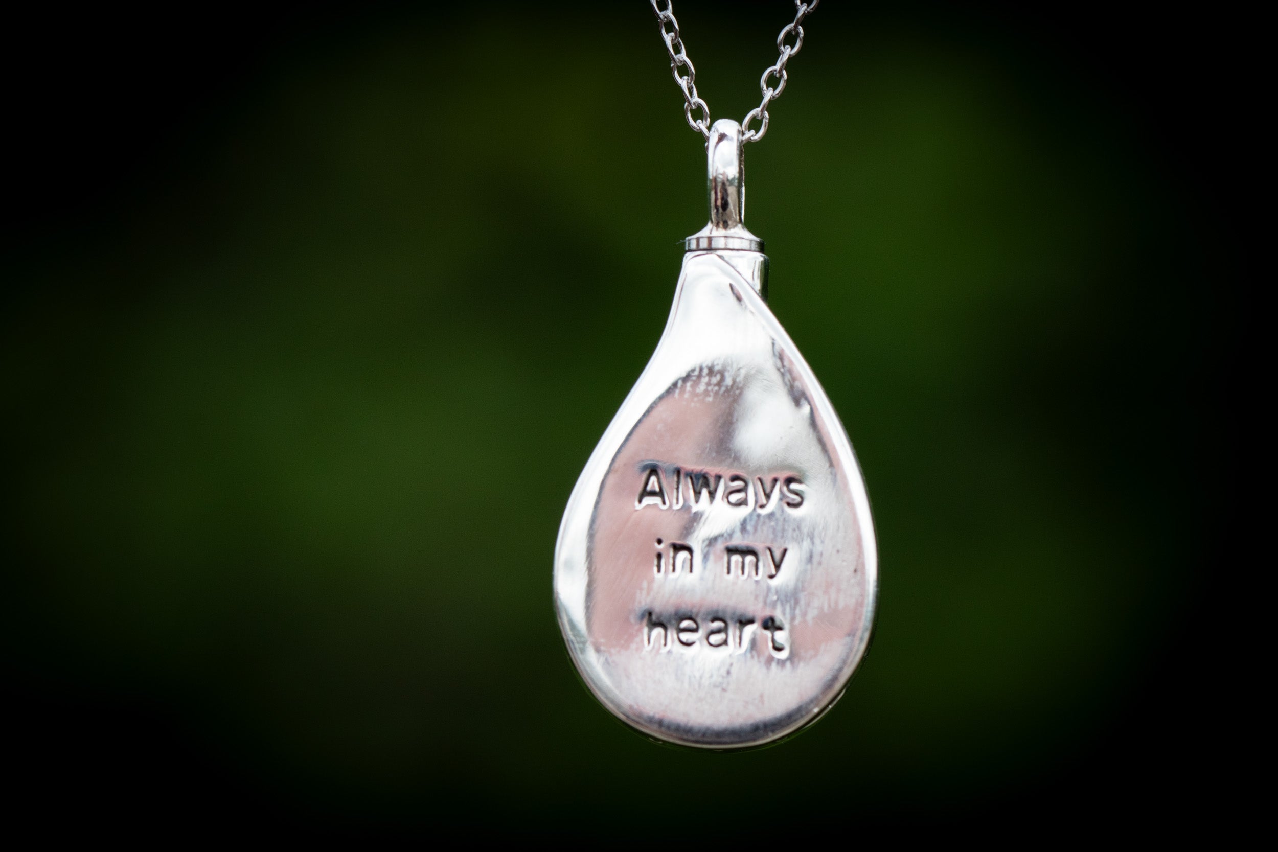 Tree of Life Always in My Heart Moss Agate